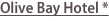shapeimage_2_link_0